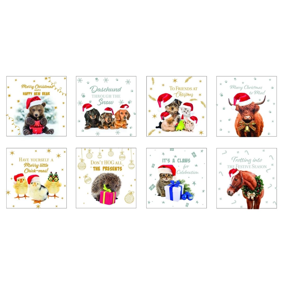 Christmas Cards Pet Foiled Sq 10pk - affordable Christmas decoration NZ