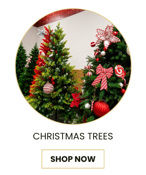 A promotional graphic featuring two decorated Christmas trees inside a circular frame, with the text 'CHRISTMAS TREES' and a 'SHOP NOW' button below on a white background.