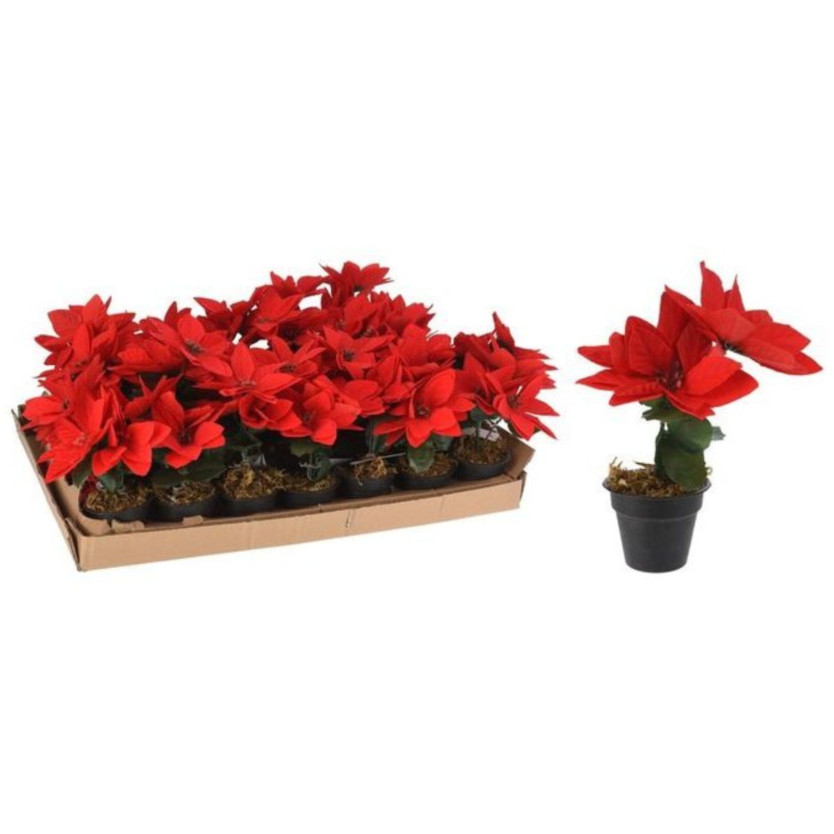 Christmas Poinsettia Flower with Pot 24cm Small
