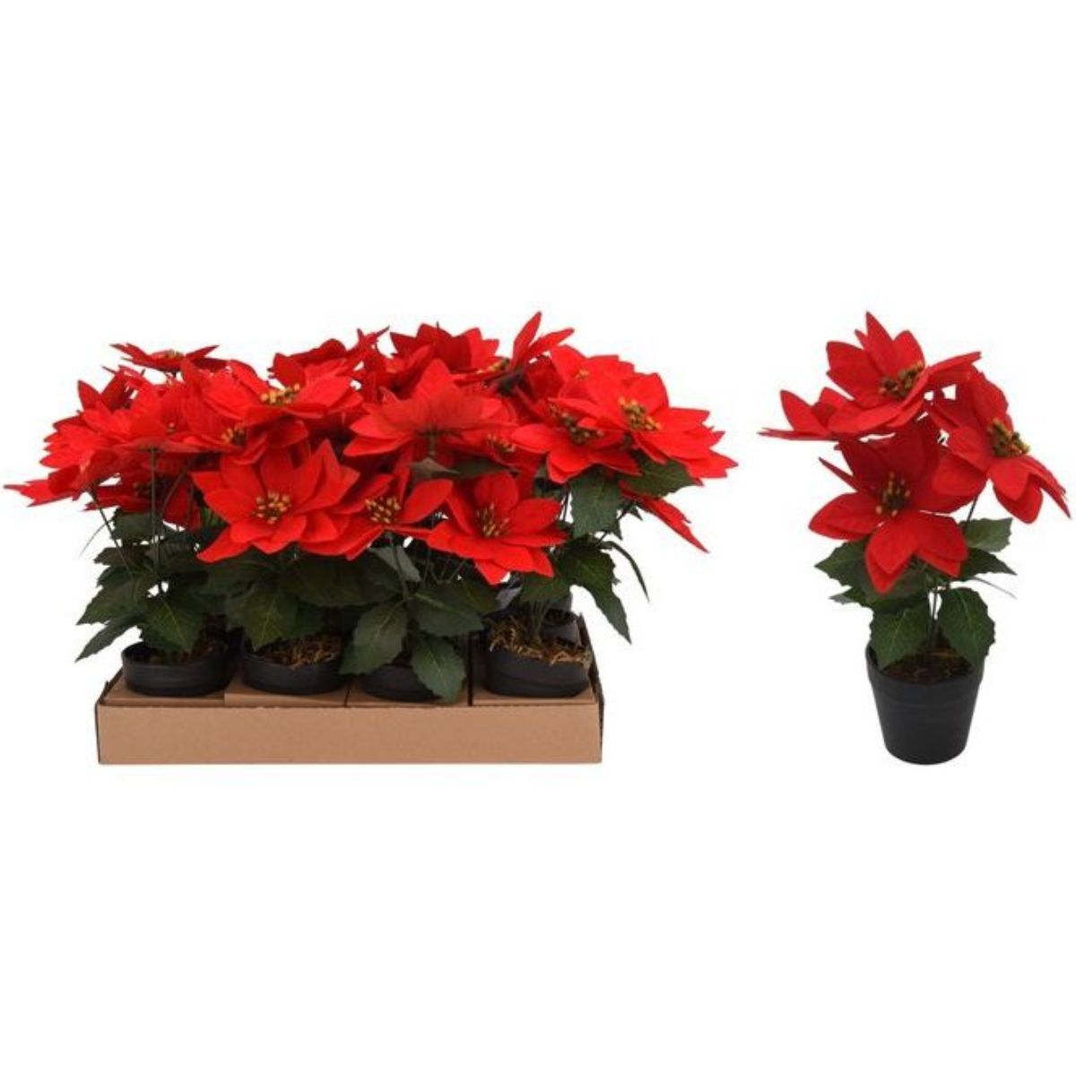 Christmas Poinsettia Flower with Pot 29cm Med