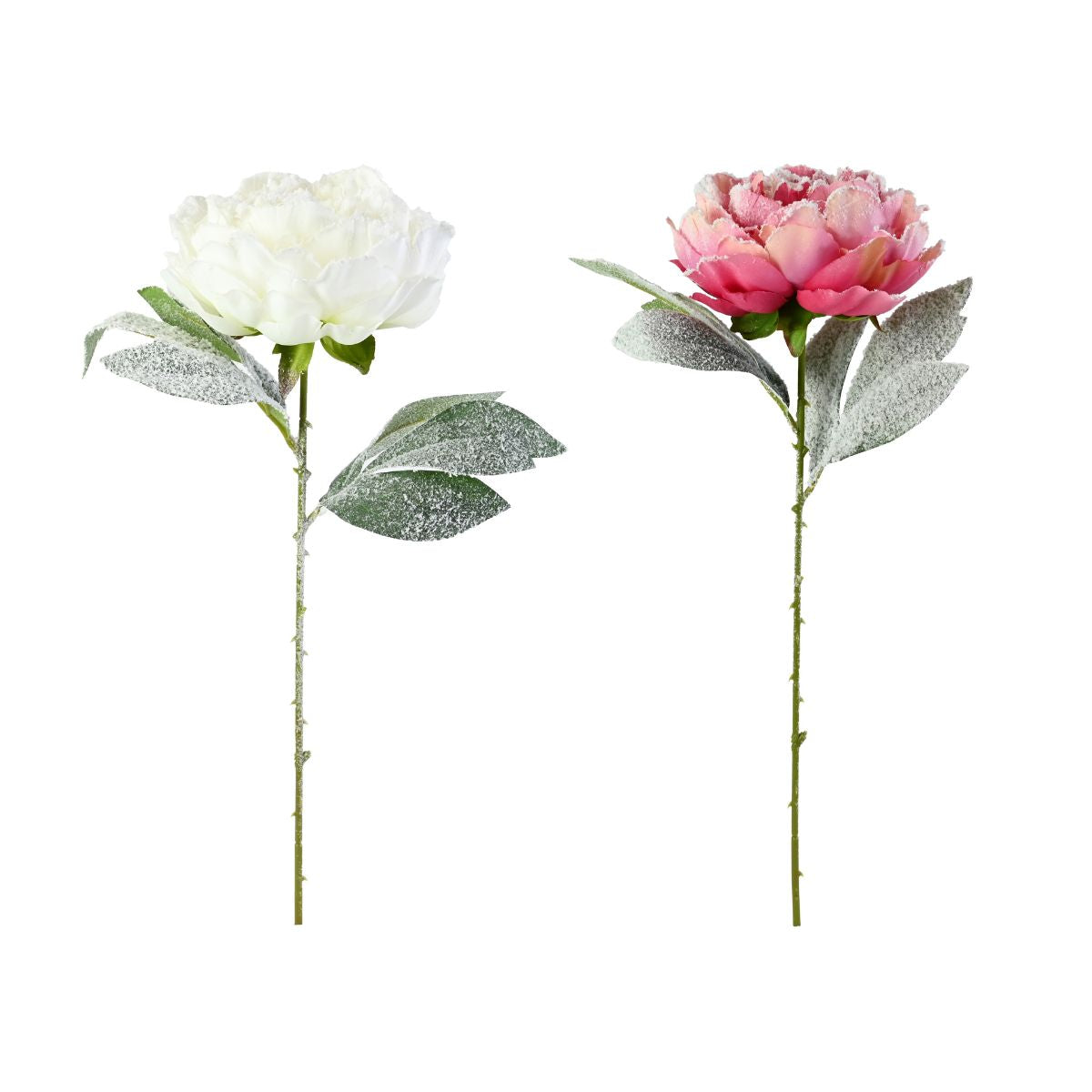 Snowy Peony Stem 54cm Assorted