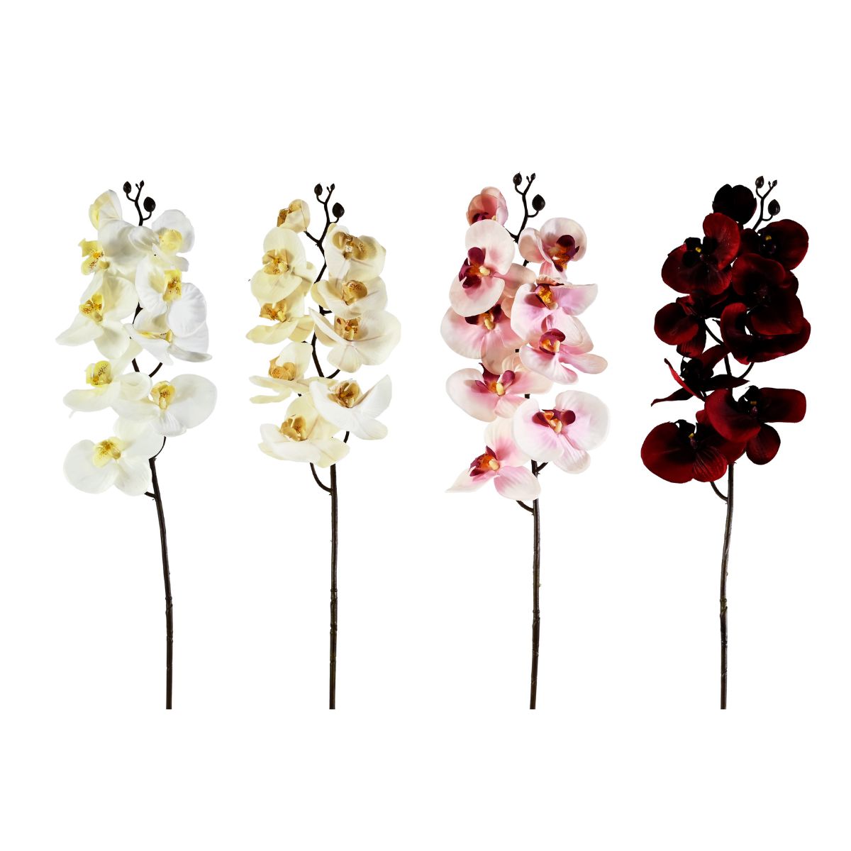 Orchid Stem 76cm Assorted