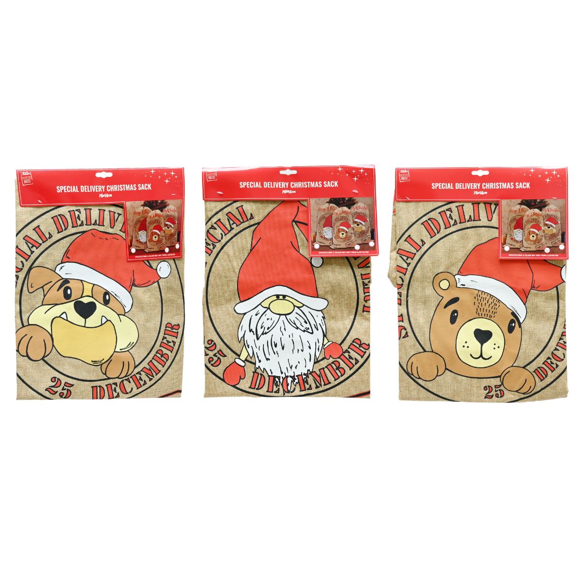 Christmas Santa Sack Special Delivery Icon 50 x 80cm Assorted