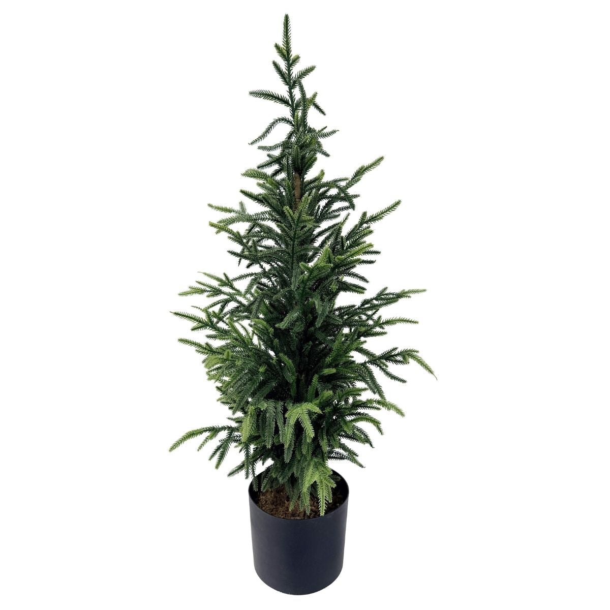Christmas Norfolk Pine Potted Tree 90cm - affordable Christmas decoration NZ